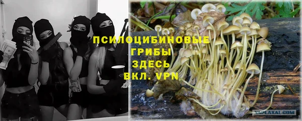 герыч Алексеевка