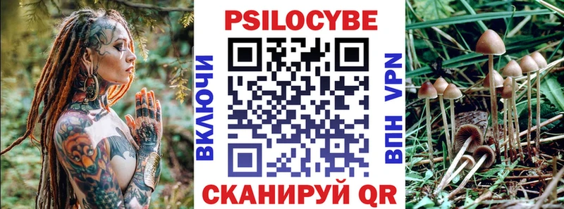 Галлюциногенные грибы Psilocybine cubensis  купить закладку  Электрогорск 