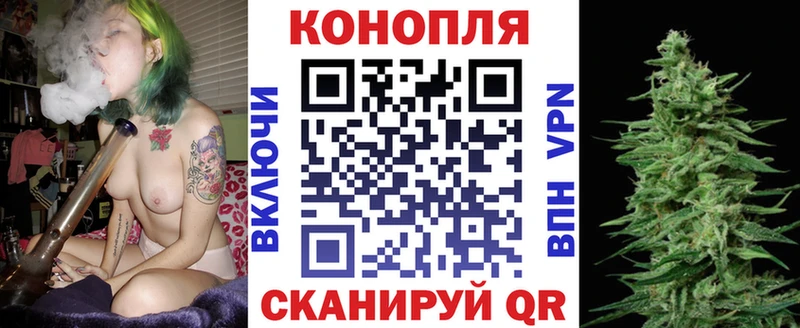 как найти закладки  Электрогорск  МАРИХУАНА OG Kush 